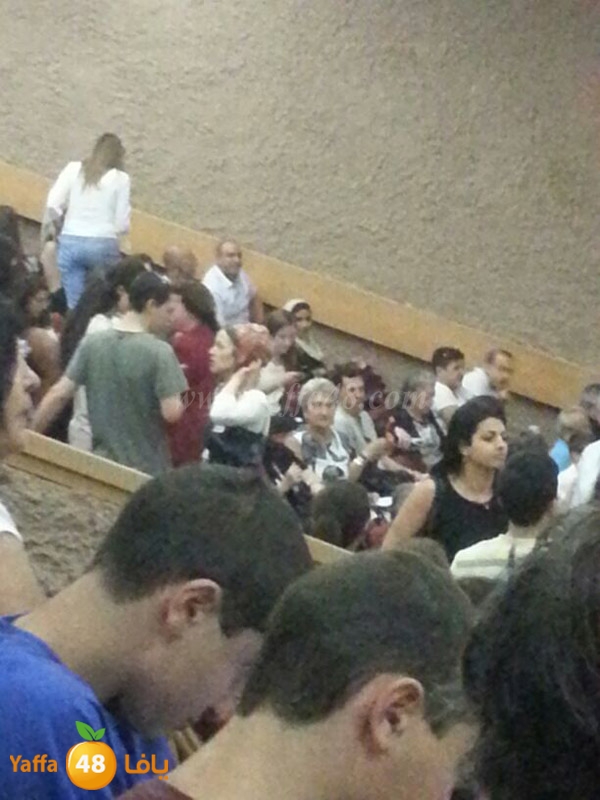 sabreen shaneer 0529 (9).JPG